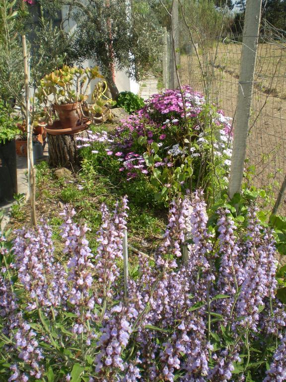 Il Giardino Di Emilio Bed & Breakfast Marrubiu Ruang foto