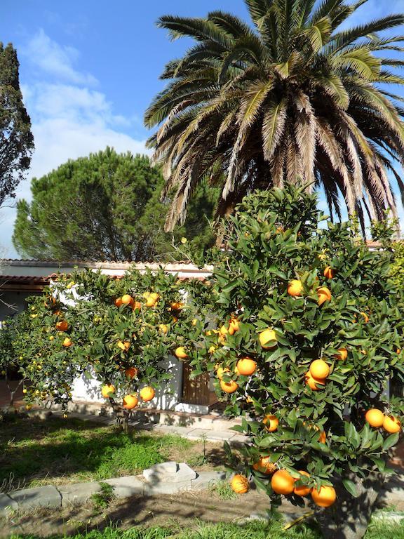 Il Giardino Di Emilio Bed & Breakfast Marrubiu Ruang foto